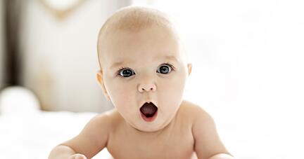 Die Standesämter in der Region wissen, welche Kindernamen bei Eltern beliebt sind. Im Heilbronner Rathaus waren das 2021 Leon und Emilia.
Foto: pololia/stock.adobe.com Die Standesämter in der Region wissen, welche Kindernamen bei Eltern beliebt sind. Im Heilbronner Rathaus waren das 2021 Leon und Emilia.
Foto: pololia/stock.adobe.com