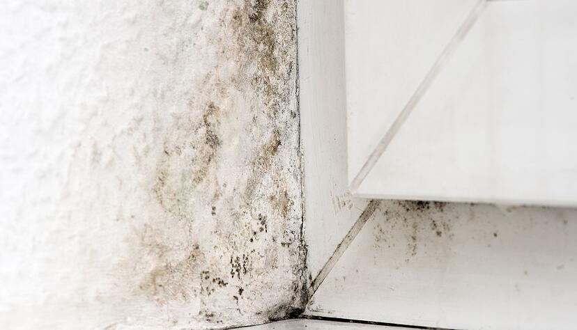 Das Ergebnis falschen Heiz- und Lüftverhaltens? Diese Frage ist entscheidend, wenn es darum geht, wer in der Mietwohnung für die Beseitigung des Schadens zahlt. Das Ergebnis falschen Heiz- und Lüftverhaltens? Diese Frage ist entscheidend, wenn es darum geht, wer in der Mietwohnung für die Beseitigung des Schadens zahlt.