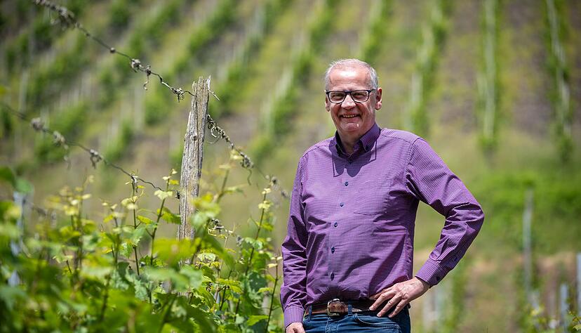 In den Weinbergen wächst ausschließlich Riesling. In den Weinbergen wächst ausschließlich Riesling.