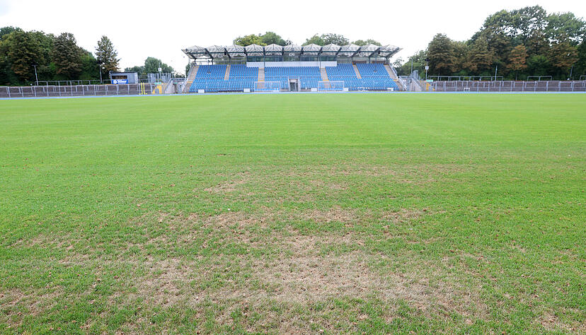 Die Sanierung des Rasens im Frankenstadion wurde billiger. Stadträte wollen jedoch ein Konzept, wie der Rasen besser geschützt werden kann. Foto: Archiv Die Sanierung des Rasens im Frankenstadion wurde billiger. Stadträte wollen jedoch ein Konzept, wie der Rasen besser geschützt werden kann. Foto: Archiv