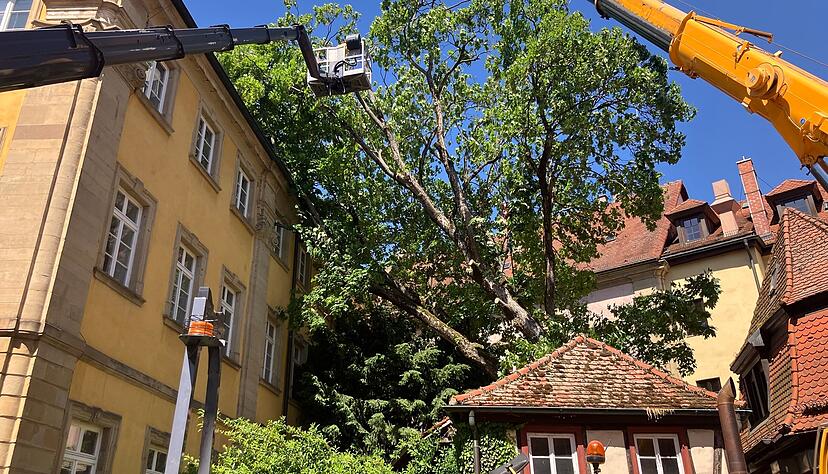 Ein Baum ist auf das Bad Wimpfener Konventhaus gestürzt. Ein Baum ist auf das Bad Wimpfener Konventhaus gestürzt.