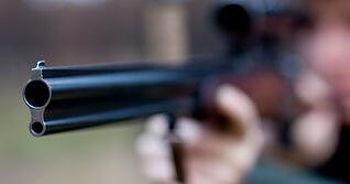 Im Wald der Stadt Heilbronn hat es laut Polizei ungewöhnliche Schüsse gegeben. Im Wald der Stadt Heilbronn hat es laut Polizei ungewöhnliche Schüsse gegeben.