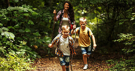 Auf in den Wald! Foto: BalanceFormCreative/stock.adobe.com Auf in den Wald! Foto: BalanceFormCreative/stock.adobe.com