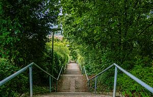 Willy-Reichert-Staffel auf der Stäffelestour durch Stuttgarts Süden. Willy-Reichert-Staffel auf der Stäffelestour durch Stuttgarts Süden.